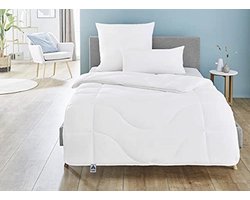 Badenia Bed Comfort Irisette Micro Thermo 4-Seizoenen Dekbed, met Drukknopen, Voor Alle Seizoenen, 240 x 220 cm, Wit