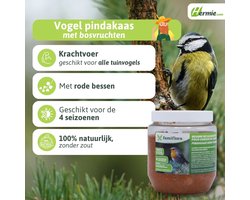 Top 10 beste vogelvoer voor tuinvogels 2026: Famiflora Vogelpindakaas Bosvruchten 350 g