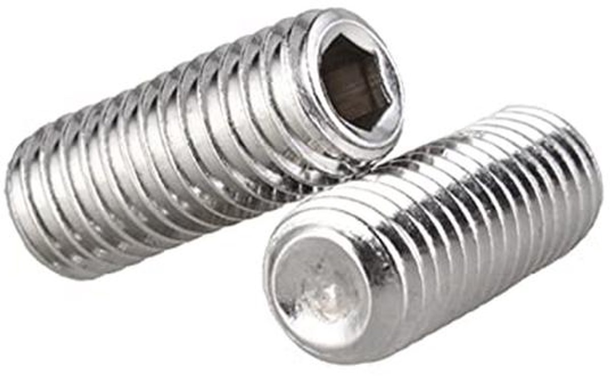 Hex Socket Dop Set - Roestvrij Stalen Inbusstelschroeven M6 x 5mm - 20 Stuks