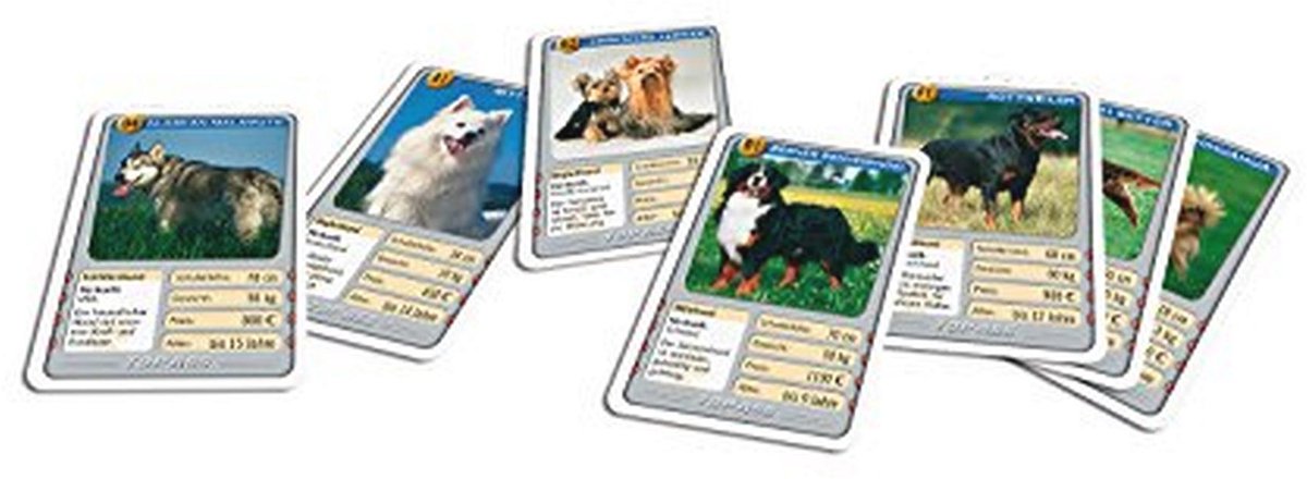 Honden Kaartspel met Feiten en Foto's