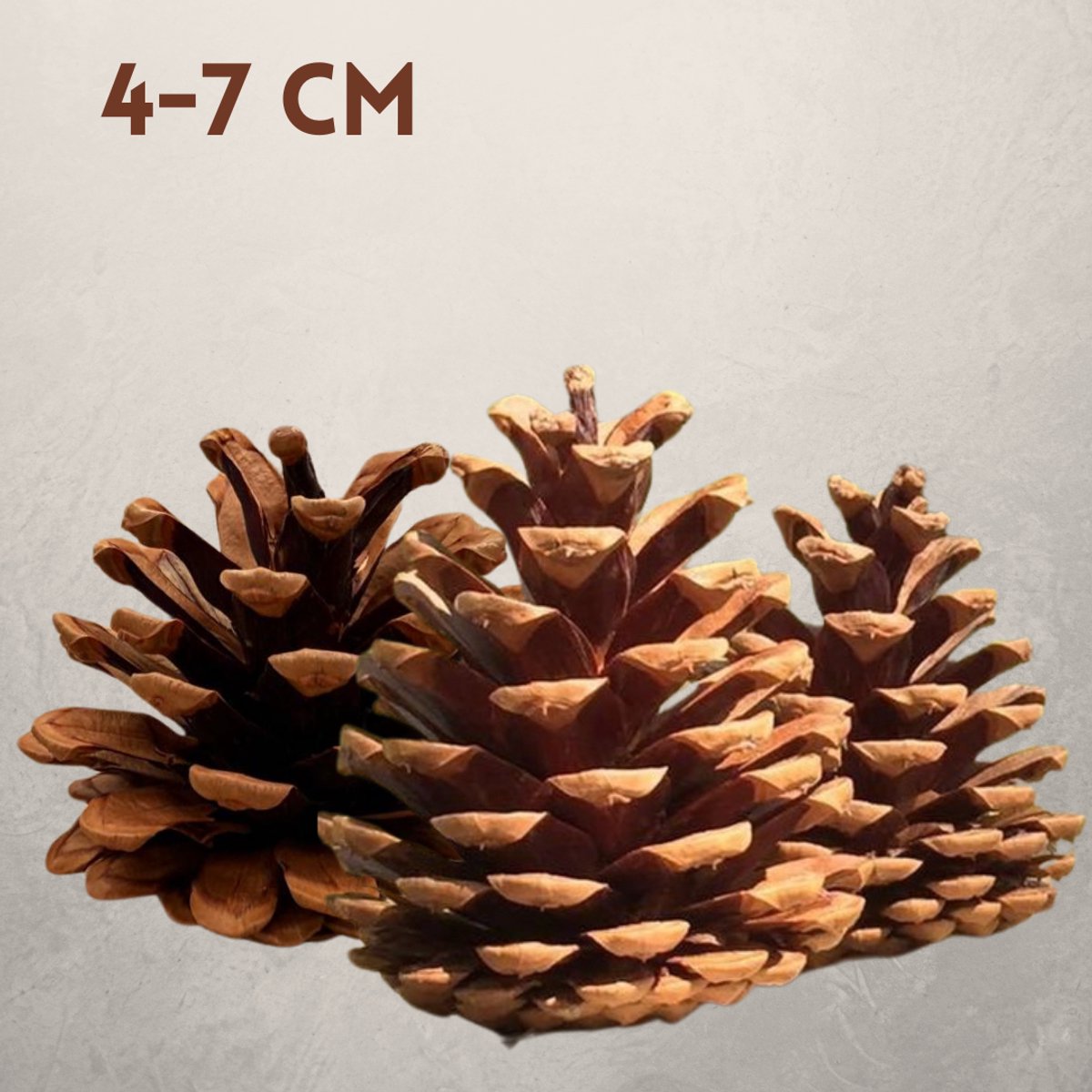 Dennenappels decoratie | Natuurlijke en veelzijdige versiering