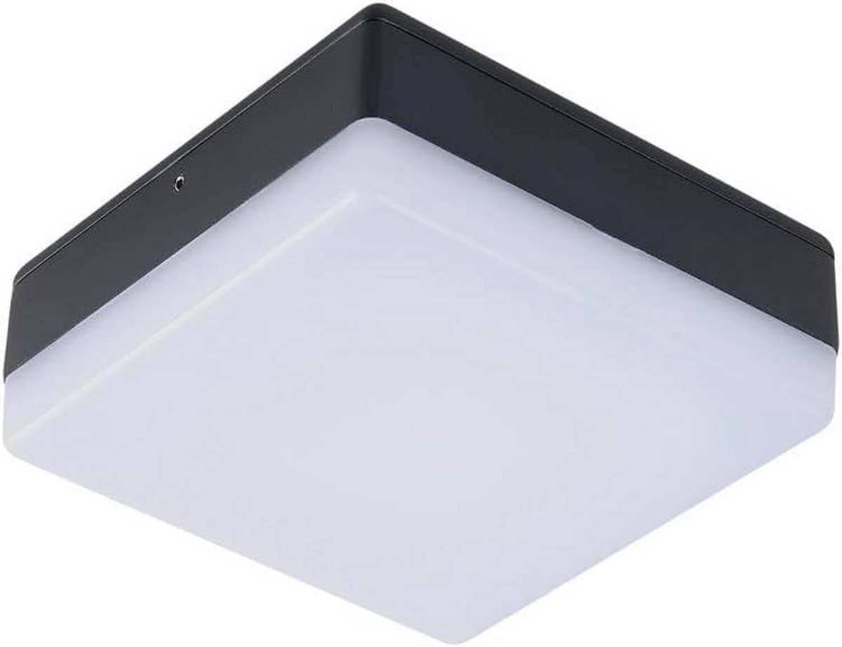 Moderne LED Plafondlamp met Bewegingssensor voor Binnen en Buiten