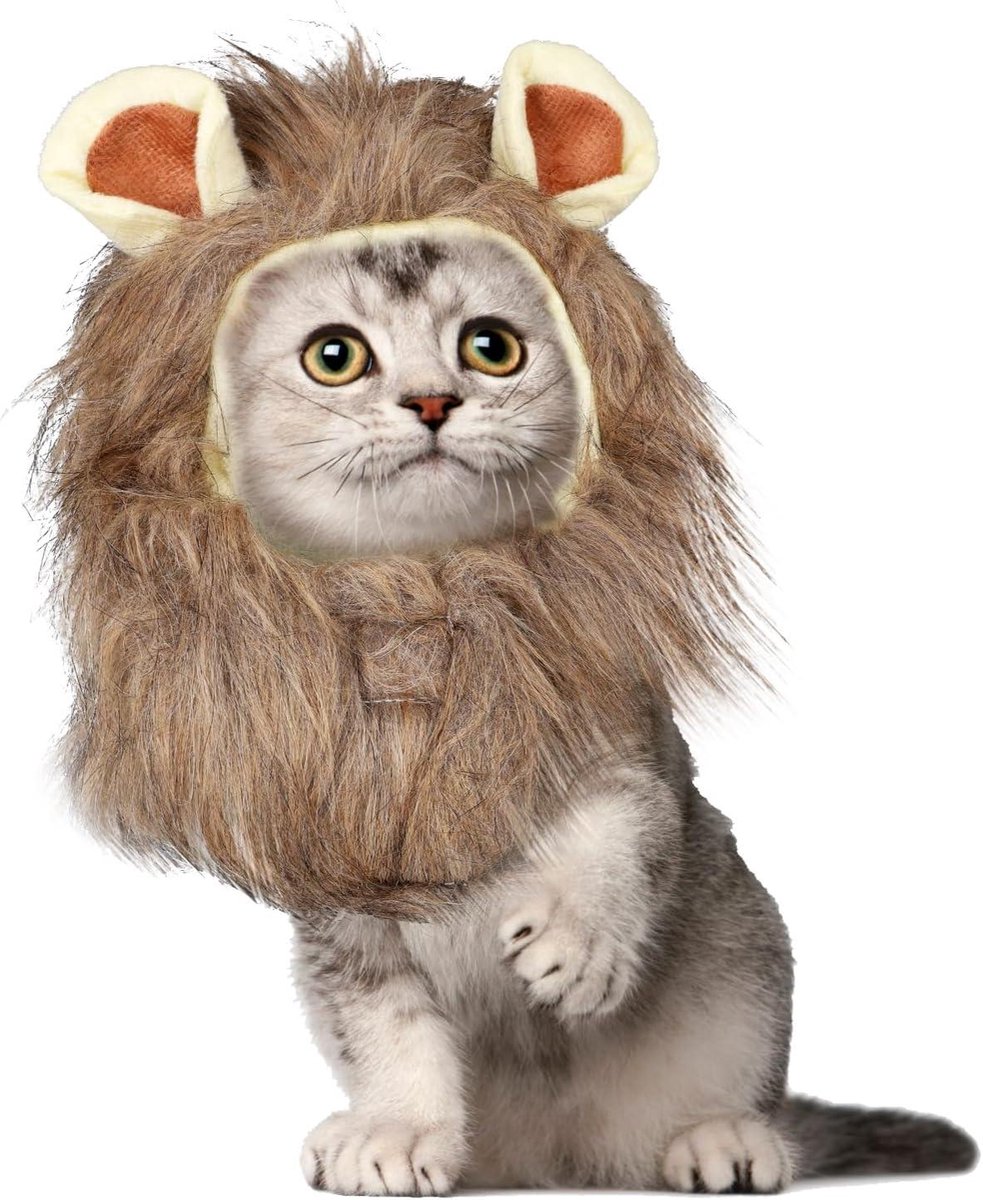 Provento - Leeuwenmanenpruik voor Kat, Zachte Hoed voor Dieren, Wasbaar Kostuum voor Halloween, Kerstmis, Pasen, Verjaardag - Gele Maat L