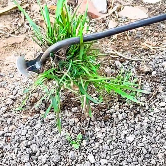 Handonkruidsteker van Roestvrij Staal met Lange Handgreep - Onkruidtrekker voor Tuin, Gazon en Terras van Merkloos	 — afbeelding 2