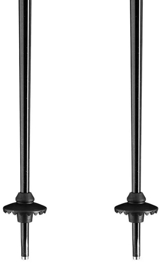 Bâtons Leki Alpino Primacy Argent 125 cm