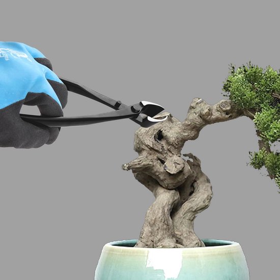 Bonsai Gereedschap Set - Concave Snijders en Bolvormige Knopsnijders van Hoogwaardige Koolstofstaal voor Tuinieren — afbeelding 2