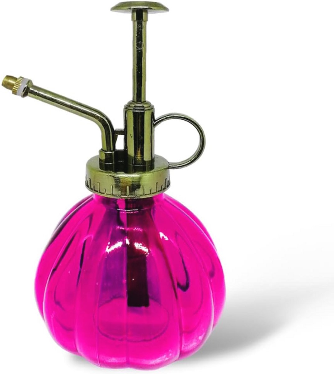 Vintage Glazen Plantensproeier - Decoratieve Gieter voor Binnen- en Buitengebruik