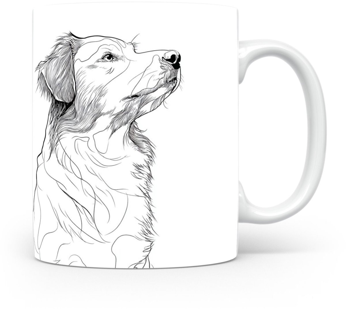 Beker Nova Scotia Duck Tolling Retriever