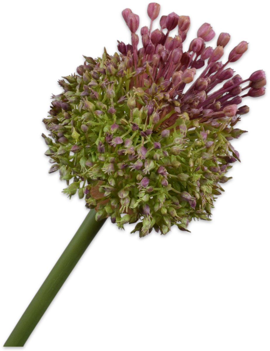 Silk-ka Kunstbloem - paars - H87 cm