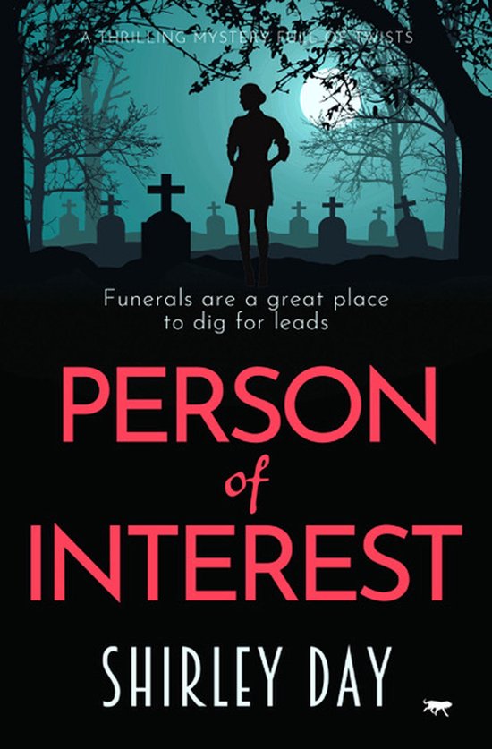 Person of Interest - cover