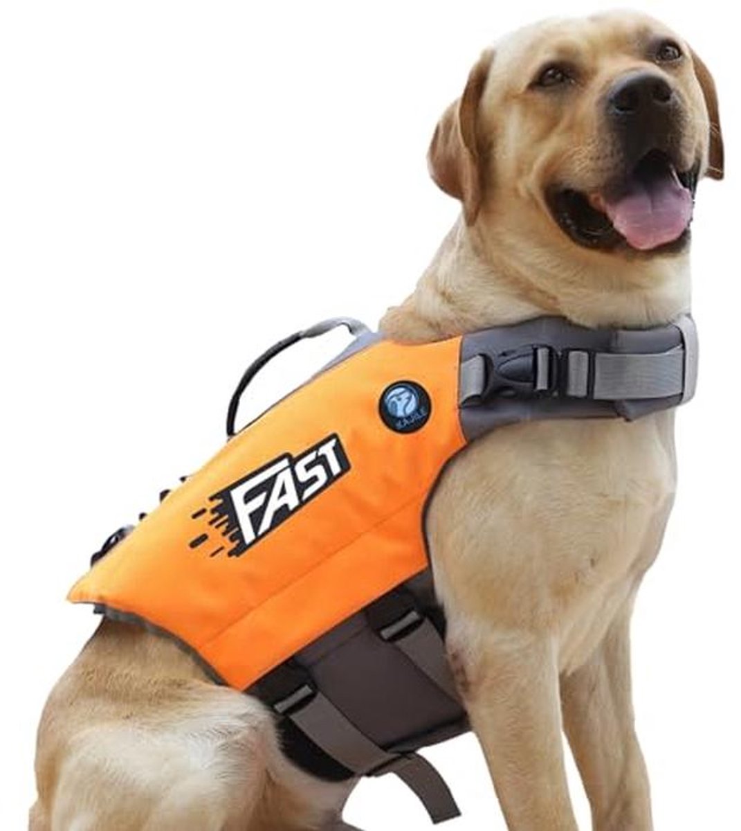 Reddingsvest voor Honden - Verstelbaar Drijfvest met Sportstijl voor Kleine en Grote Honden