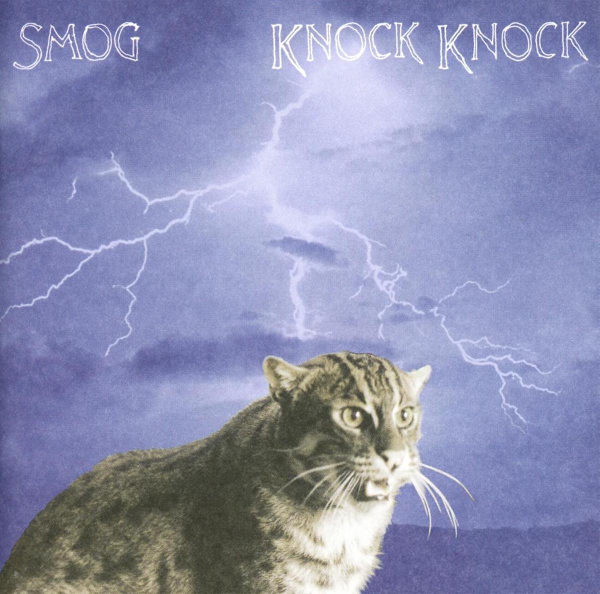 Knock Knock