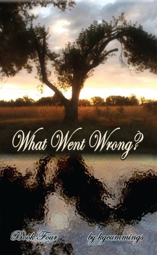 What Went Wrong? - cover