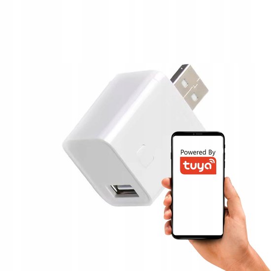 SmartLife Schakelaar Wi-Fi | 2400 W | Kroonsteentjes
