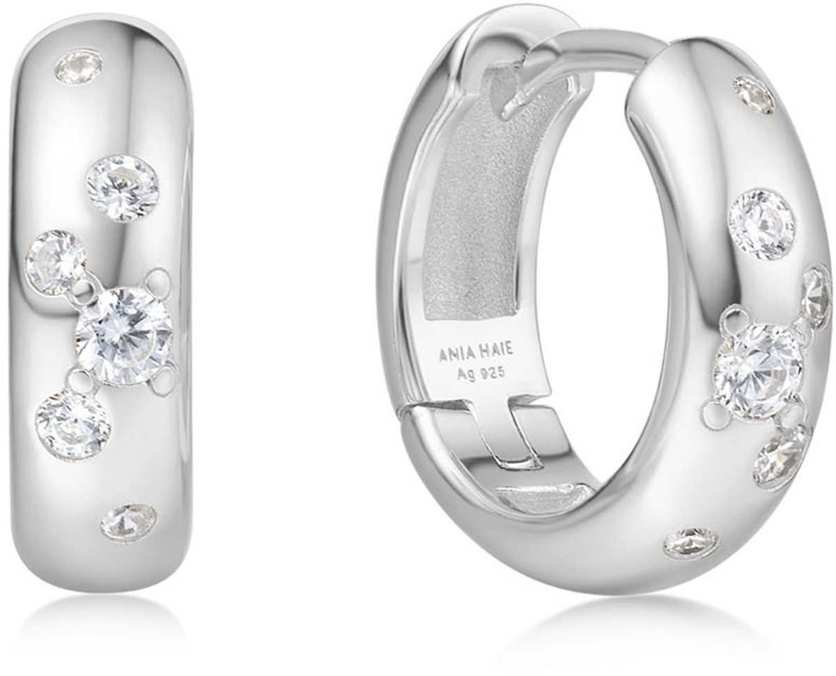 Ania Haie AH E065-04H Miss Dainty Dames Oorbellen - Oorringen