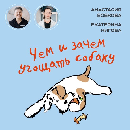 Чем и зачем угощать собаку - cover