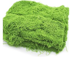 Kunstmos 200 g - Decoratief Nylon Nepmos voor Knutselen en Decoratie - Lichtgroen - Perfect voor Muur, Aquarium en Modelbouw