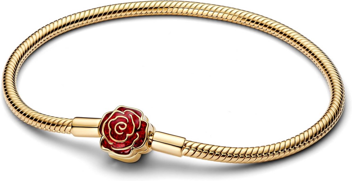 Dames Armband Goudkleurig 18 cm met Vouwsluiting