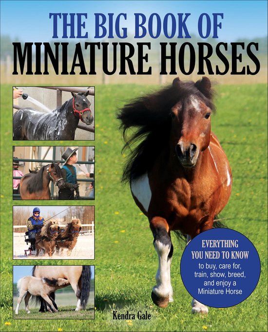 Big Book of Miniature Horses - cover
