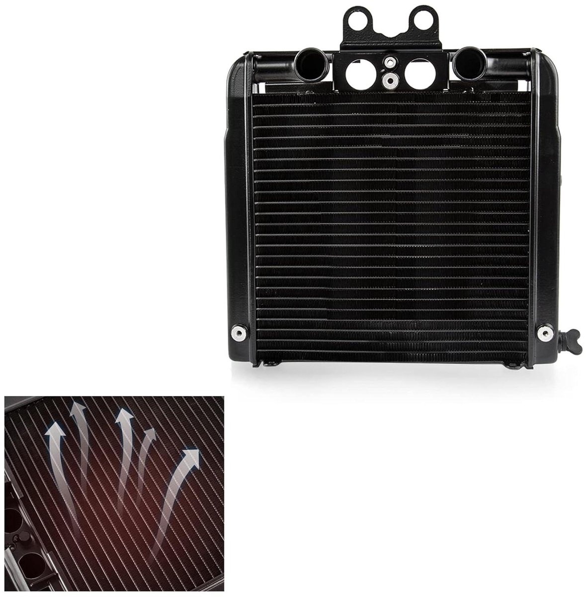 Allecta - Oliekoeler Radiator compatible met Harley V-Rod VRSCA, VRSCD Night Rod, VRSCDX Night Rod Special, VRSCR Street Rod, VRSCF - Hoogwaardige kwaliteit - Eenvoudige installatie