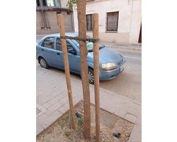 Houten Boompalen 200 cm - Duurzame Klimhulp voor Tuin en Landbouw