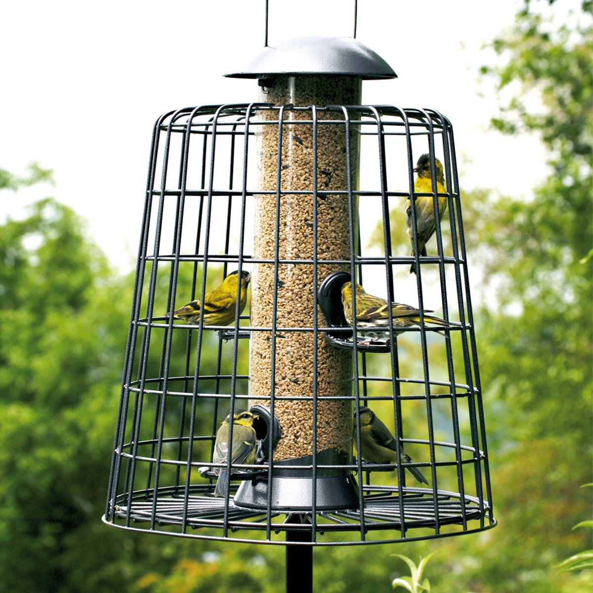 CJ Wildlife Voedersilo met Beschermkooi voor Tuinvogels - Adventurer - Vogelvoedersilo voor Kleine Vogels - Hangend Vogelvoederhuisje van 40cm - Vogelvoer Silo - Grafietgrijs
