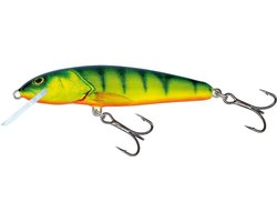Salmo Minnow 7cm Sinking Holo Real Minno | Kunstaas