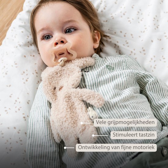 Nattou TEDDY Baby Fopspeenhouder - 26 cm - Konijn doudou als speenhouder - Baby Cadeau - Beige van Nattou — afbeelding 5