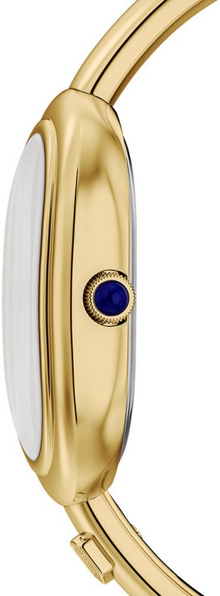 Montre femme FOSSIL 25 mm - Couleur or