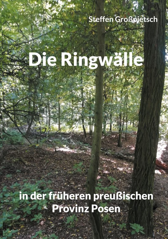 Die Ringwälle - cover