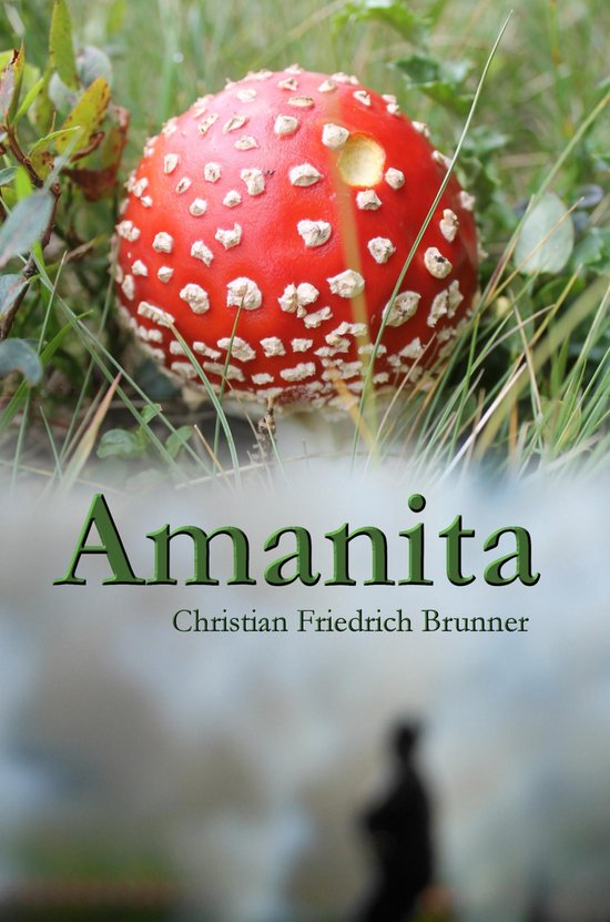 Boek "Amanita" met op de cover een rode vliegenzwam met witte stippen tussen het gras.