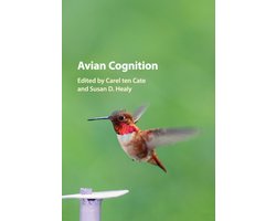 Avian Cognition