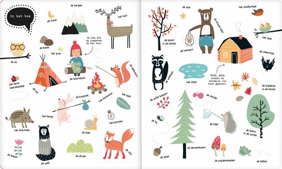 Illustraties van dieren en objecten in het bos, waaronder een uil, hert, beer, vos en eekhoorn.
