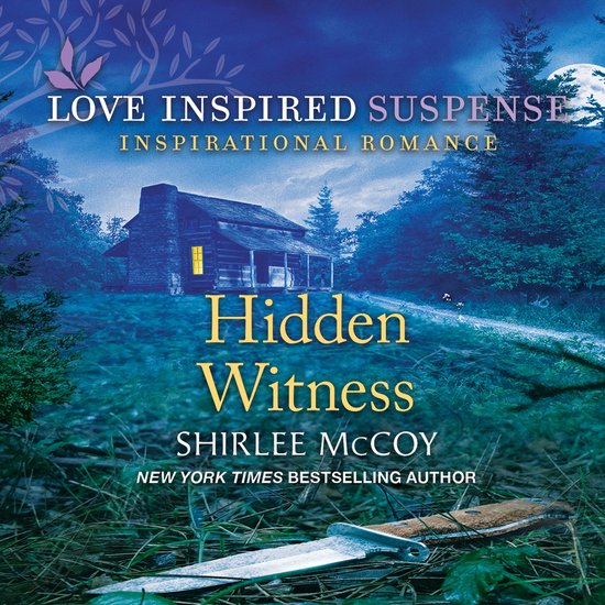 Hidden Witness - cover