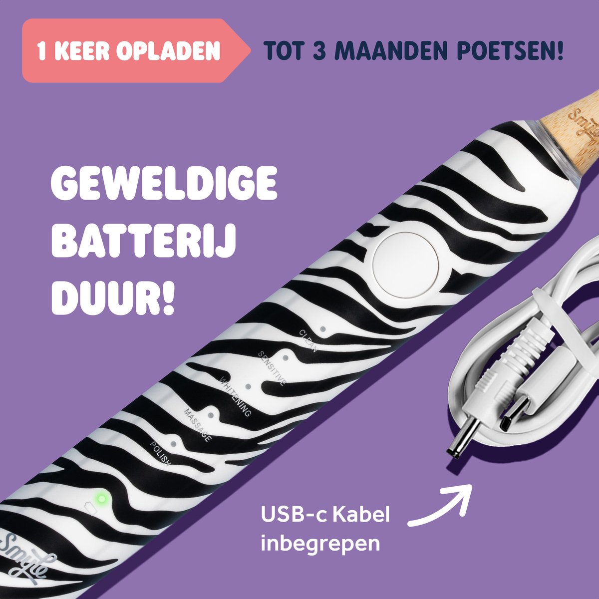 Elektrische Zebra Print Tandenborstel met USB-C Oplader - afbeelding 3
