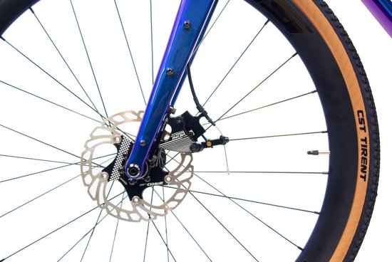 Close-up van de schijfrem en voorwiel van een paarse Rinos gravelbike met "CST TRENT" band.