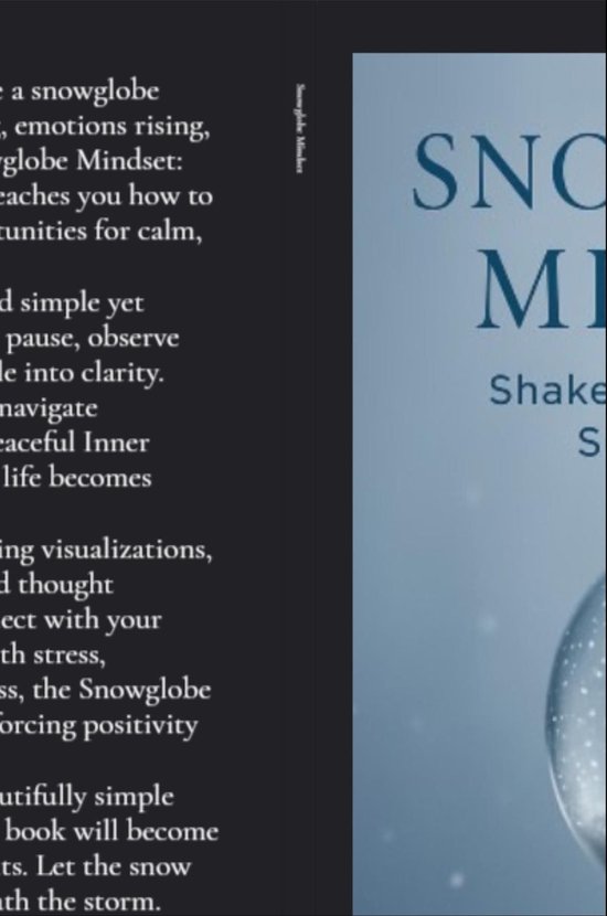 Snowglobe Mindset - cover