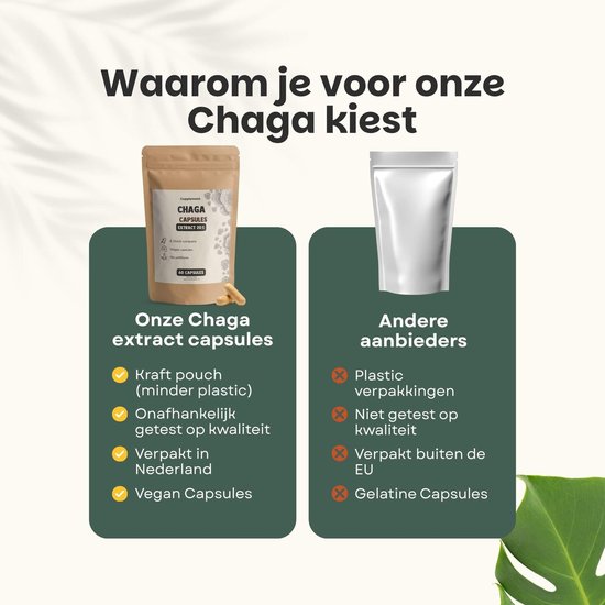 Cupplement - 4 sachets de capsules d'extrait de Chaga 60 pièces - Extrait 20:1 - Comprend un pilulier - Biologique - 400 MG par capsule - Geen poudre - Supplément - Superaliment - Champignon - Champignon