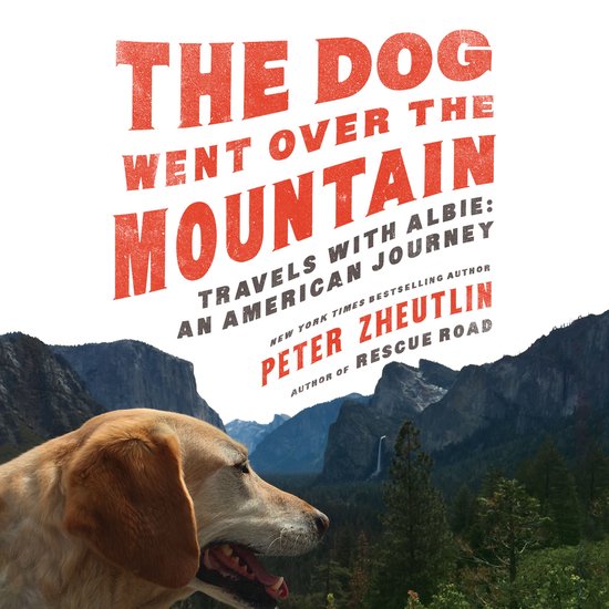 The Dog Went Over the Mountain - cover