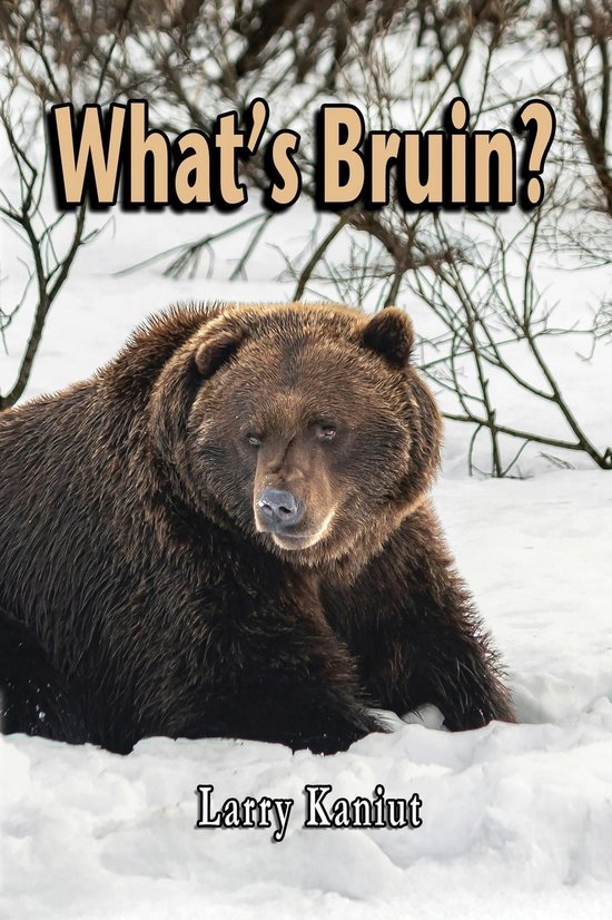What's Bruin? - cover