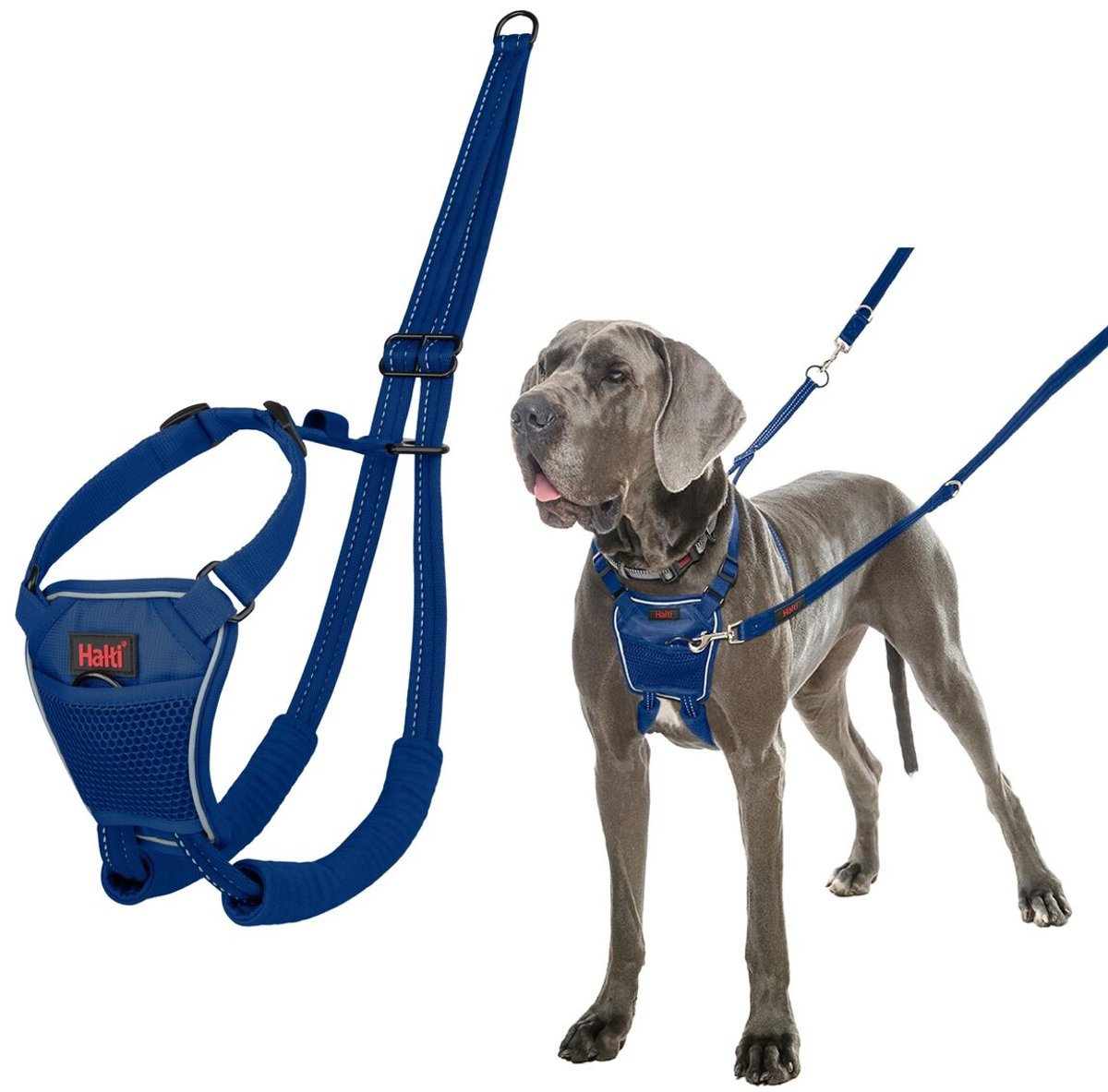 Hondentuigje Company of Animals COBALT Blauw L