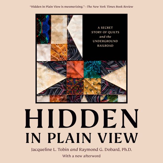 Hidden in Plain View - cover