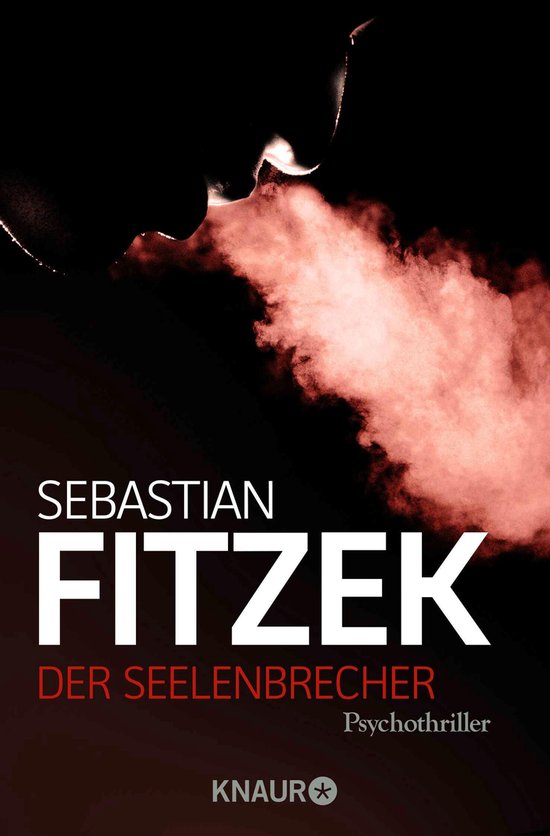 Der Seelenbrecher - cover