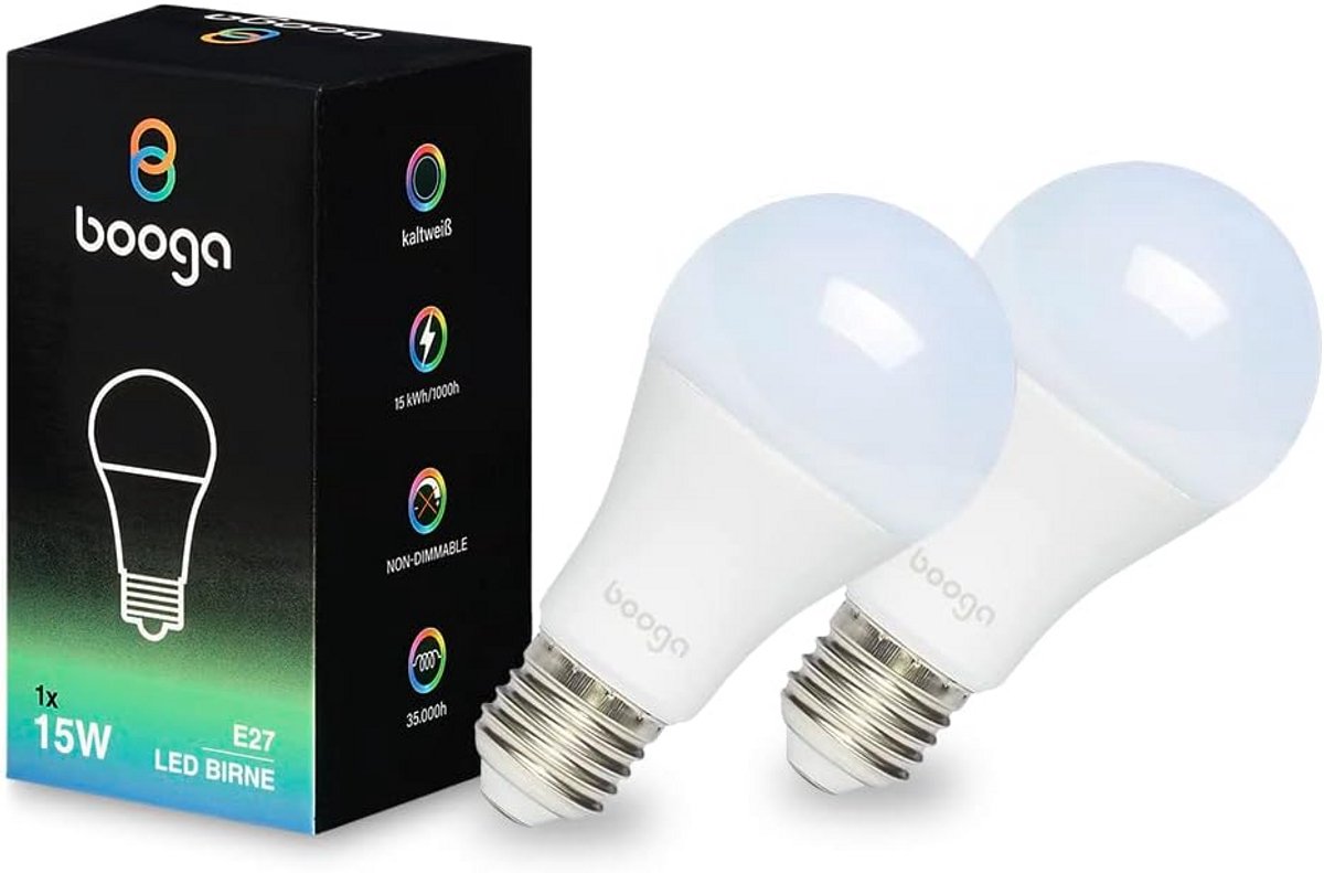 LED E27 Lamp 15 Watt 6500K Koudwit - Energiebesparend - Melkglazen Bollamp - 360° Lichthoek - 35.000 uren - Niet Dimbaar - Set van 2