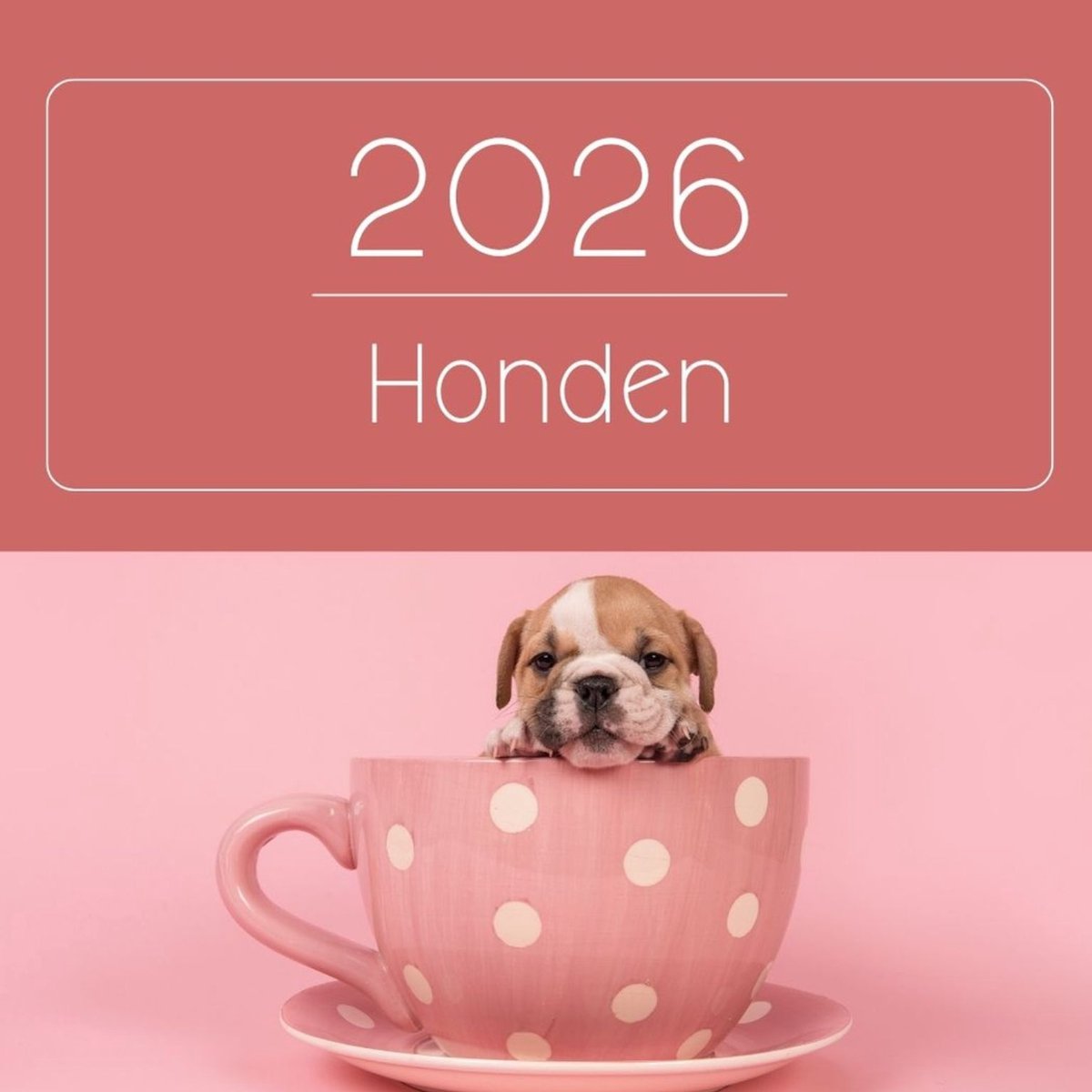 Maandkalender 2026 - Omslagkalender / verjaardagen kalender - 29 x 29 cm - Honden