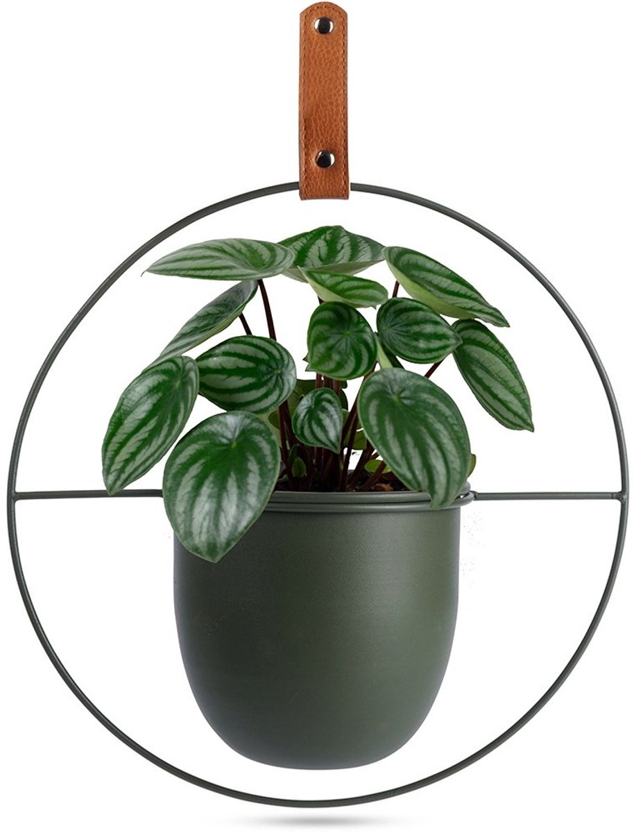 Home Styling Collection - Metalen Plantenhanger - Groen - 30x30 cm - Industrieel