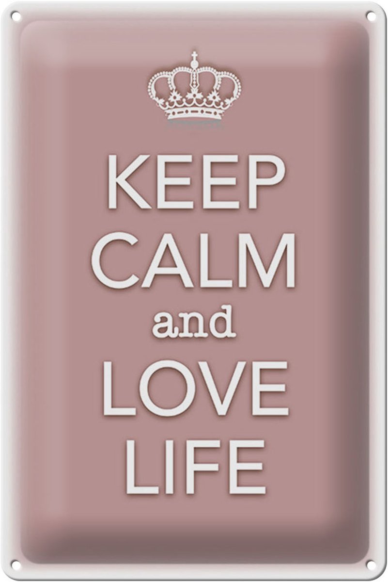 Blechschild Spruch 20x30cm Keep Calm and love life