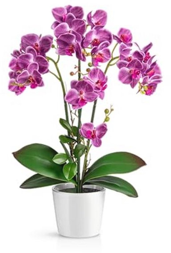 Kunstorchideeën in Hoogglans Keramisch Pot (46 cm) - Realistische Kunstbloemen voor Decoratie
