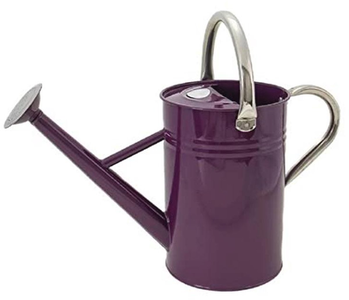 Metalen gieter 4.5L - Diep Violet - Klassieke Lange Bereik Tuin Gereedschap