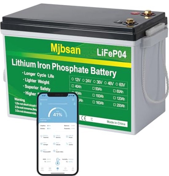 12V 300Ah LiFePO4 Auto Accu met Bluetooth en 200A BMS - Diepe Cyclus Lithium Accu voor Kamperen, Boot en Zonne-energie